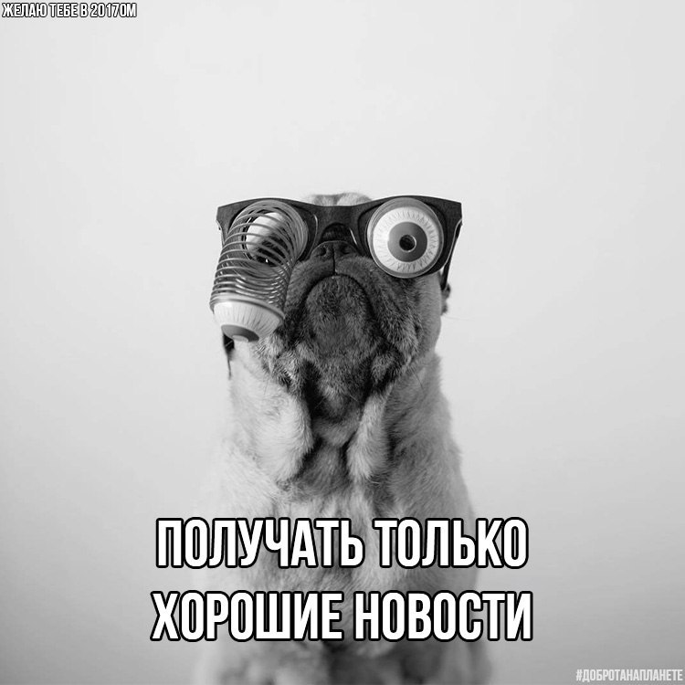    2017 https://fotostrana.ru/away?to=/sl/cSD2      #