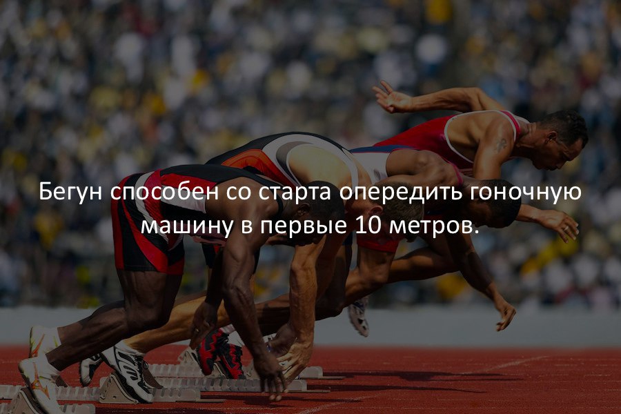 SportFeed - 23  2016  11:47
