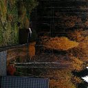 ��� ��� ������ ������ �� ������� ���� ����� ����� ������߻