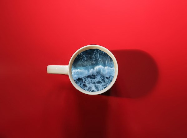   - 24  2017  15:56