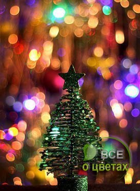 �����, ����� ����� ���! - 4