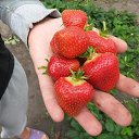 ���� ������, ���������, 45 ��� - ��������� 17 ������ 2016 � ������ ����������