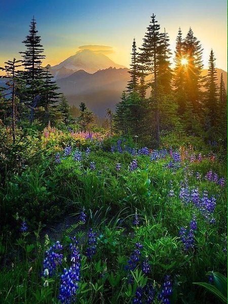 Оглянись вокруг, там столько всего, за что можно быть благодарным. #осень #благодарность #счастье ... - 5