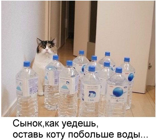     - 22  2016  21:44