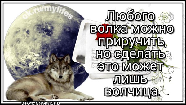   - 9  2017  20:16