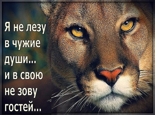  - 13  2017  15:38