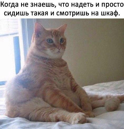   - 10  2017  17:45