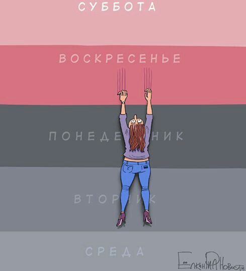   - 15  2016  02:28