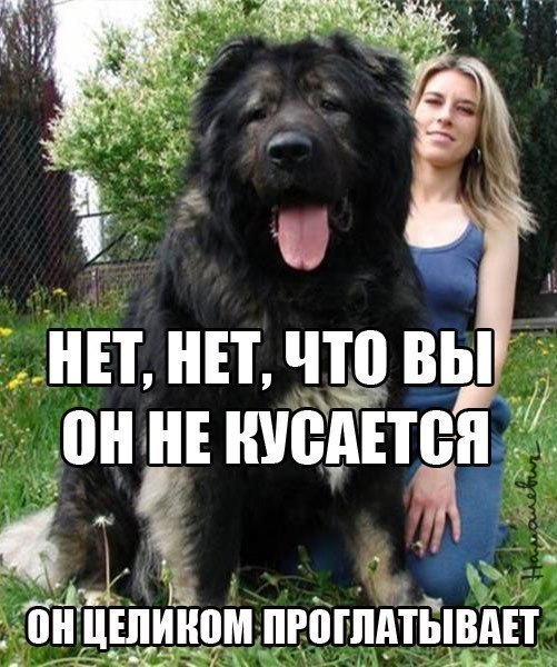 )))