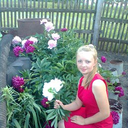 , 33, 