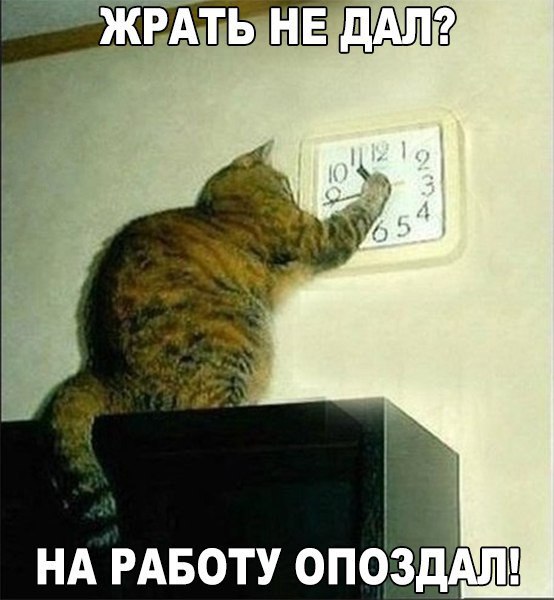 -  - 17  2016  08:30