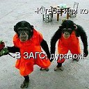 ���� �������, ��������� - ��������� 31 ������� 2016 � ������ ������ ��������