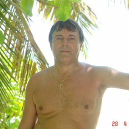 ���� �����, ������, 67 ��� - ��������� 13 ������ 2017