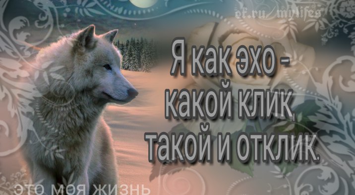  - 12  2017  18:54