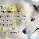 ���� �����, ��������� - ��������� 5 ������� 2016 � ������ ������