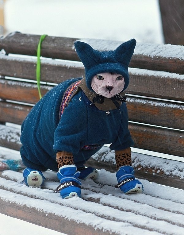    ,   ...))) - 5