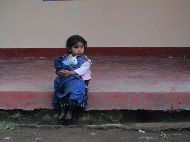 �������� ���������� �� ���� 