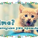  ,  -  10  2016    