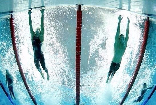     0.01   !