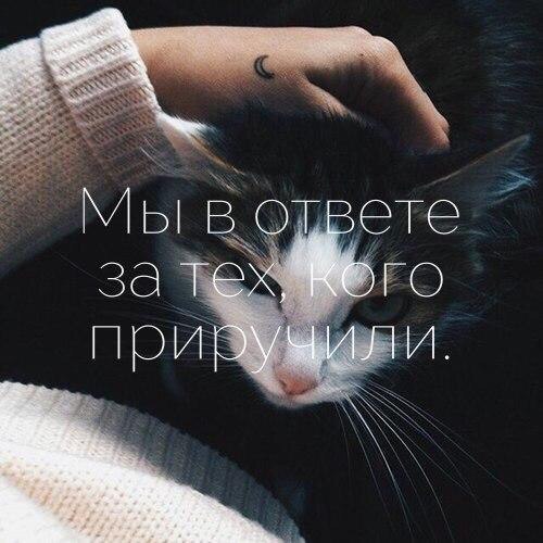       - 2  2017  23:29