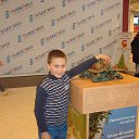 ���� Aleksandr, ��������� - ��������� 31 ������ 2017 � ������ ���������� 04.01.2017�.�