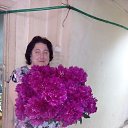 ���� �����, ������, 49 ��� - ��������� 10 ������� 2017 � ������ ���� ����������