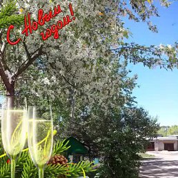 ���� Sergei, ������������, 61 ��� - ��������� 27 ������� 2016