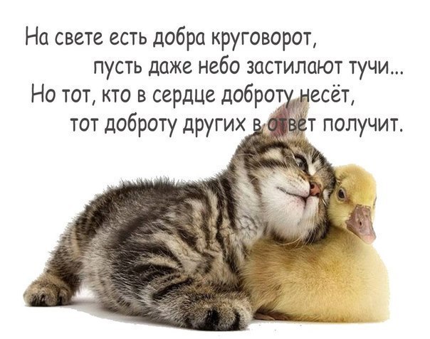 Он родился таким - нелюбимым, ненужным, Раздражая людей своим видом наружным... Самым страшненьким ...