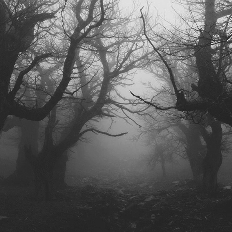 ���� � ������ ���-�� ��������������. - 6