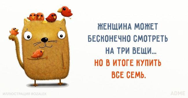  - 19  2016  13:01