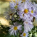  , , 73  -  25  2016     2016