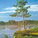 ���� Nadezhda, ������, 64 ���� - ��������� 25 ������ 2017 � ������ ���� ����������