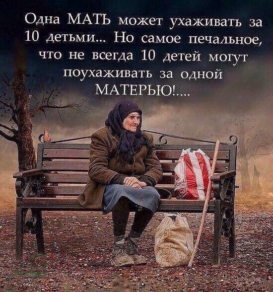  :    - 13  2017  00:28
