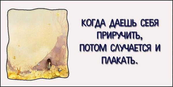 ...поделиться 10 самыми вдохновляющими цитатами из «Маленького принца» - 6