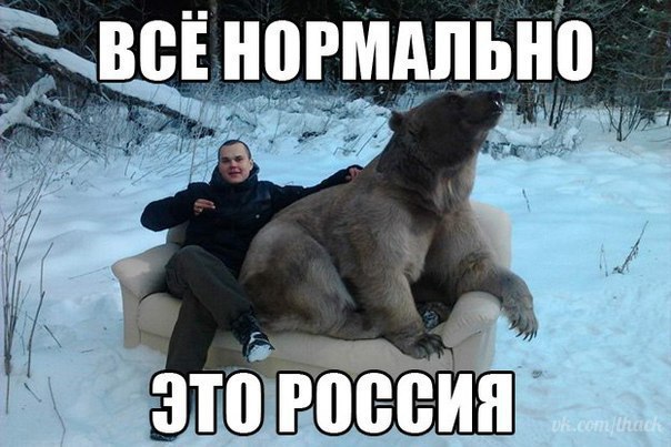  - 17  2017  20:09