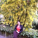 � � �������� �� ������� ���� ����������