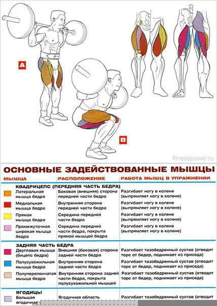 Упражнения на мышцы ног! - 10