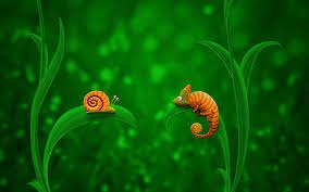 ���� �����, ����������� - ��������� 31 ������� 2016