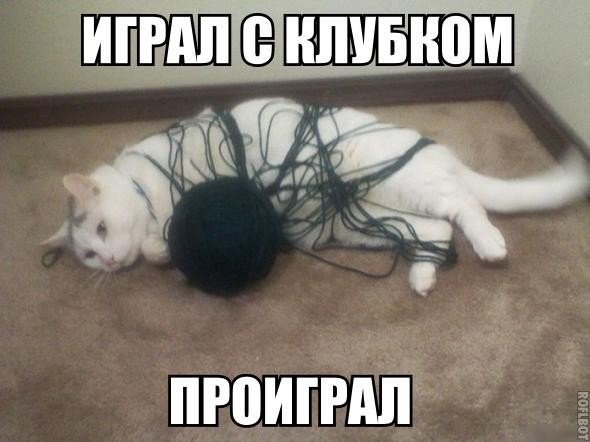    :D - 19  2017  18:06