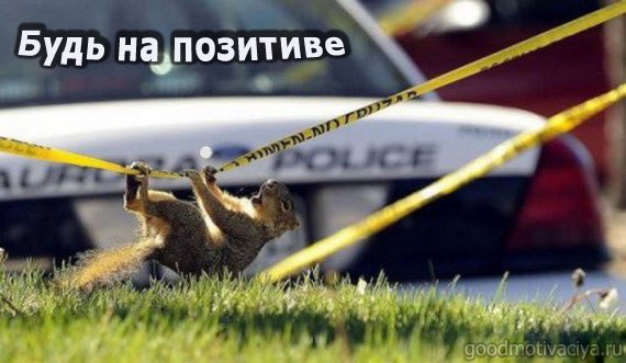  -  )., ,   , )
