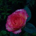 ���� �����, ������ - ��������� 22 ������� 2017 � ������ ���� ������� ����� .�