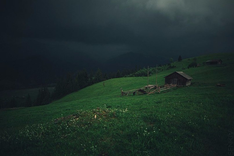 Carpathian mountains, #Ukraine - 2