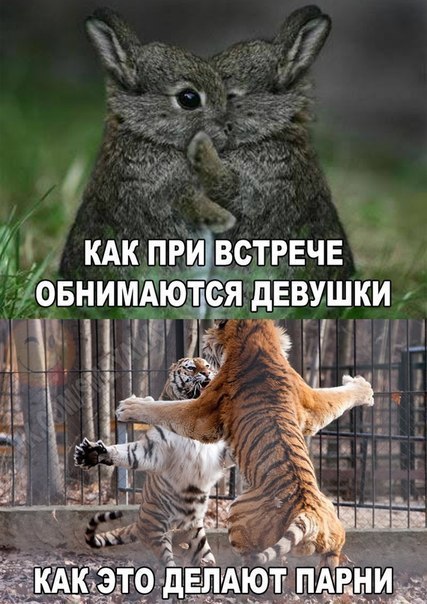    :D - 12  2016  01:04