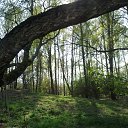 ���� �����, ��������� - ��������� 8 ������ 2016 � ������ ������ ��������