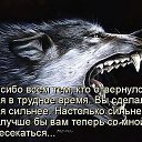  Vitali, , 42  -  7  2016