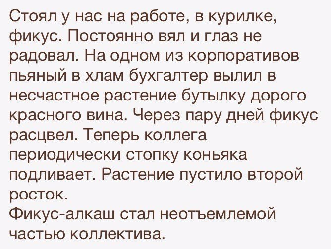     - 24  2016  04:02