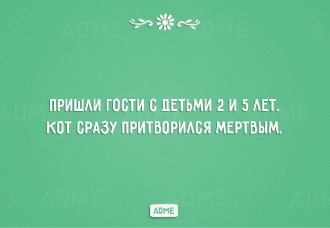  - 24  2016  10:06