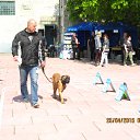 ���� Talisman, ���������, 51 ��� - ��������� 26 ������� 2016 � ������ ���� ����������