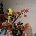 ���� Svetlana, ������, 75 ��� - ��������� 4 ������� 2017 � ������ ���� ����������