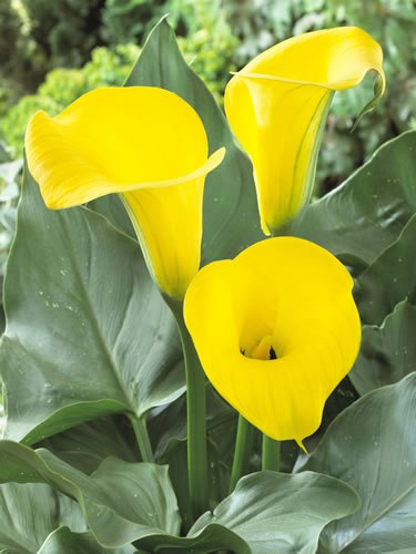  ! - 22  2016  13:02 - 4